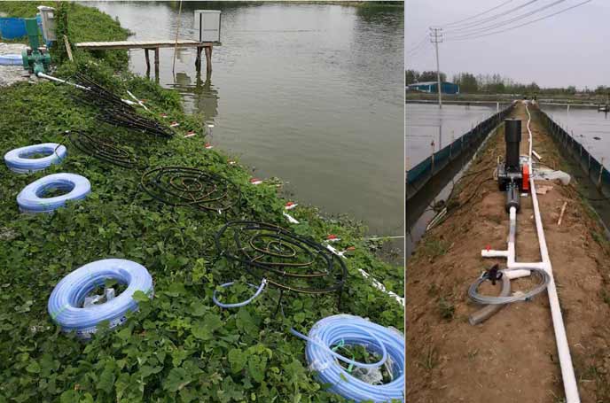 水产养殖罗茨黄瓜视频成人APP 水产养殖罗茨黄瓜视频成人APP
