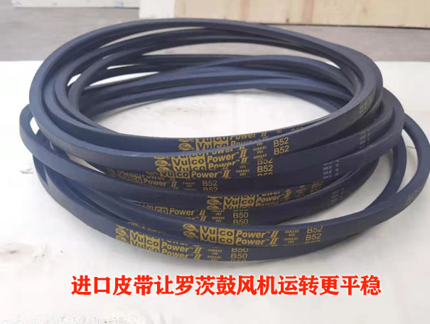 罗茨黄瓜视频成人APP皮带