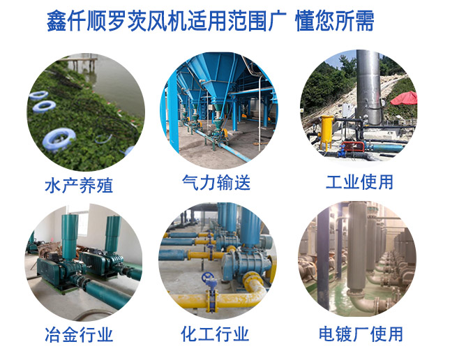 高压罗茨鼓黄瓜视频成人APP