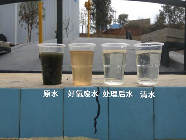 污水曝气罗茨鼓黄瓜视频成人APP应用案例 污水曝气罗茨鼓黄瓜视频成人APP应用案例