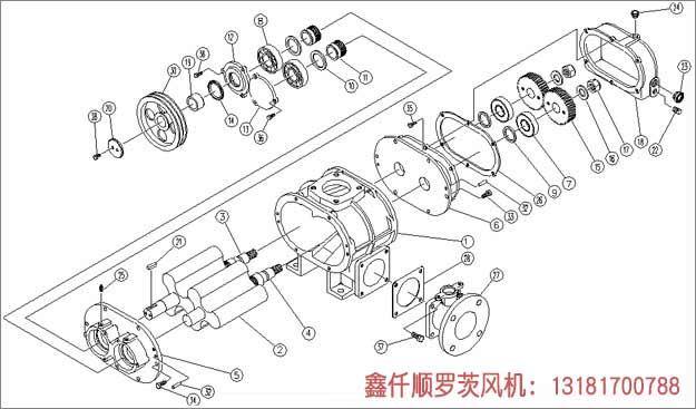罗茨黄瓜视频成人APP工作组成部件