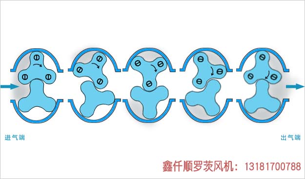 罗茨黄瓜视频成人APP工作原理