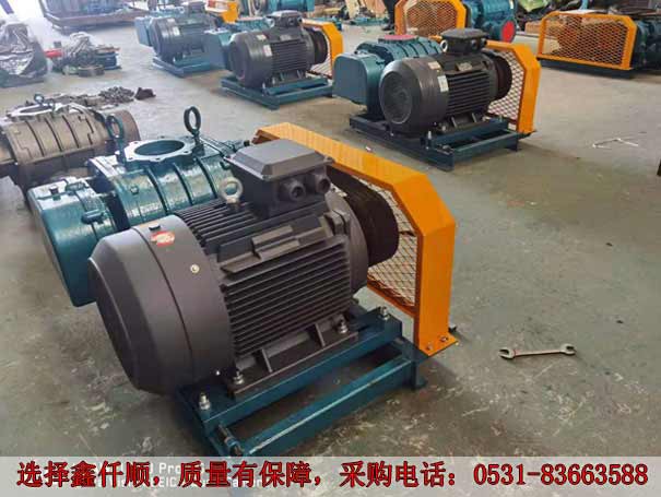 发货广西高压罗茨鼓黄瓜视频成人APPXQSSR15030KW6台(图2)